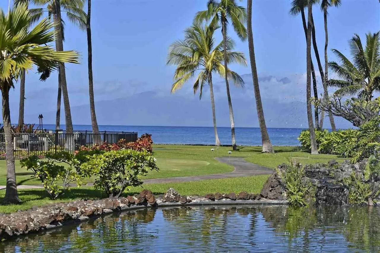 Lägenhet Papakea H107 1 Bedroom, 1 Bath Oceanview Condo Kaanapali USA